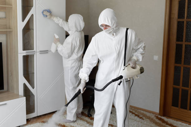 Affordable Infectious Disease Decontamination solutions in Mckenna, WA